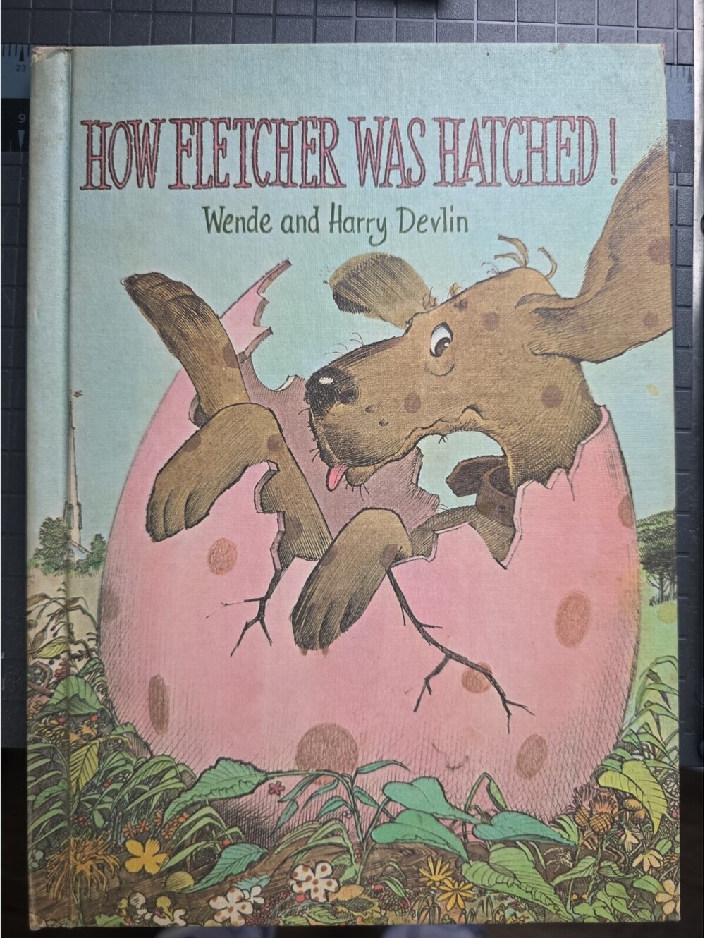 How Fletcher Was Hatched Wende and Harry Devlin 1969 Illustrated Childrens Book